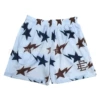 E53 White-Blue Star