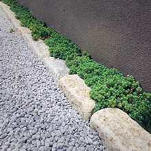 ͥԺ���@��߅ʯ ����ʯ �@�־��^̤��ʯҎ�t�L���΂�ʯС���Kʯ