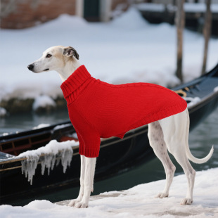 �����¿ë���д���Ȯ�tɫ��ë�����m��ů���·��ݼyᘿ������