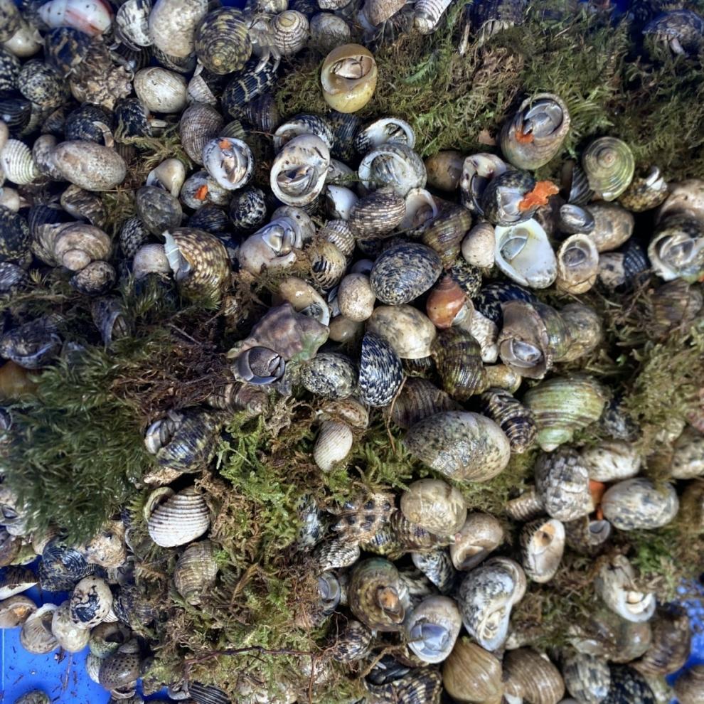 8be082f8-8ed9-4764-a538-8d35023ffccb.jpe