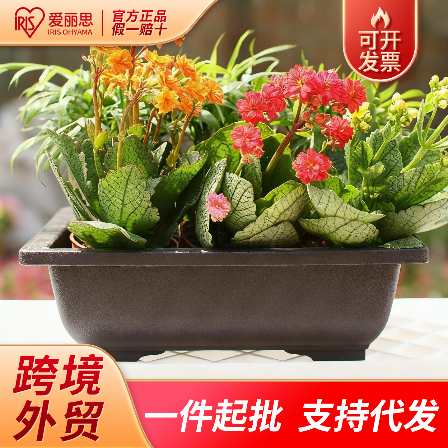 爱丽思盆景盆长方形塑料花盆矮盆加厚树脂透气多肉盆栽种植育苗盆