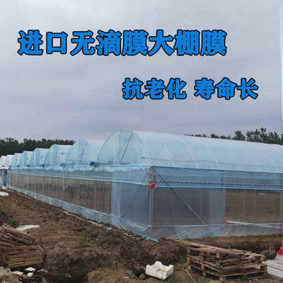 大棚膜温室农用薄膜黑白青贮无滴地膜塑料三层共挤保护养殖透明