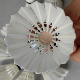 ˮ������ȫ�A�o����ë�򌦘ˁ�5����12ֻ�b���ʹ���ˌW������