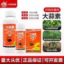 ���p�������S�ϼ����Խǰ߲�������ή���ڰ߸���ܛ�����rș������