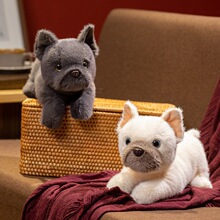 �羳����ṷ��Ȯϵ�й��ж�ţȮ��ż��ͯ�Y��С��ë�q������l