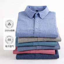 金盾纯棉长袖衬衫男磨毛休闲商务轻奢高级感纯色新款全棉男士衬衣