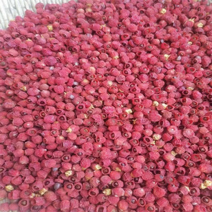 �������l���؁��t��ɼ�����Fժ�Ϸ��t��ɼ�r���ɹ���W�����й���