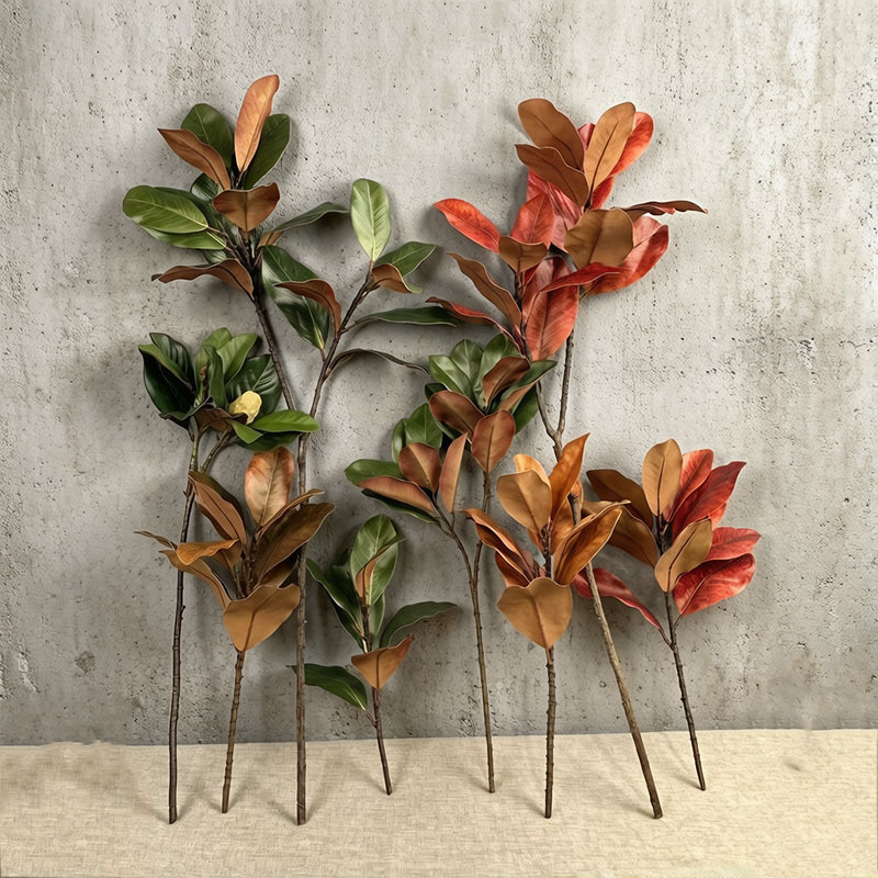 Simulated Magnolia Leaves Wholesale in Stock, Simulated White Bowl Flower Bud Leaves, Home Decoration Artificial Flowers, Simulated Leaves, Magnolia Branches Simulated Magnolia Leaves Wholesale in Stock, Simulated White Bowl Flower Bud Leaves, Home Decoration Artificial Flowers, Simulated Leaves, Magnolia Branches