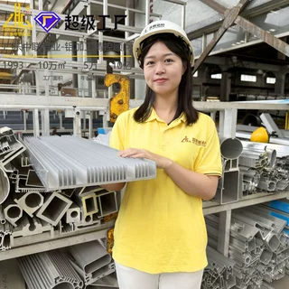 挤压开模定制散热器铝型材  电池冷却充电桩散热设备散热器铝合金
