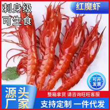 红魔虾鲜活超大刺身甜虾生腌海鲜水产非西班牙海捕海水鳌虾牡丹虾