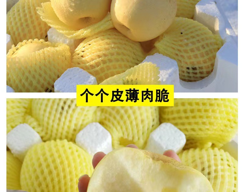 8bb44b2fd60046ffec7dd2a59ed7ea