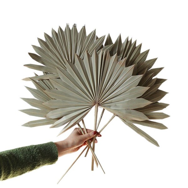 Palm fan blades dry flowers