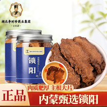 ��r���i�Ƭ��ș�����ڃ��ɹ��i�������Ƭ����ɐ������޽�����a