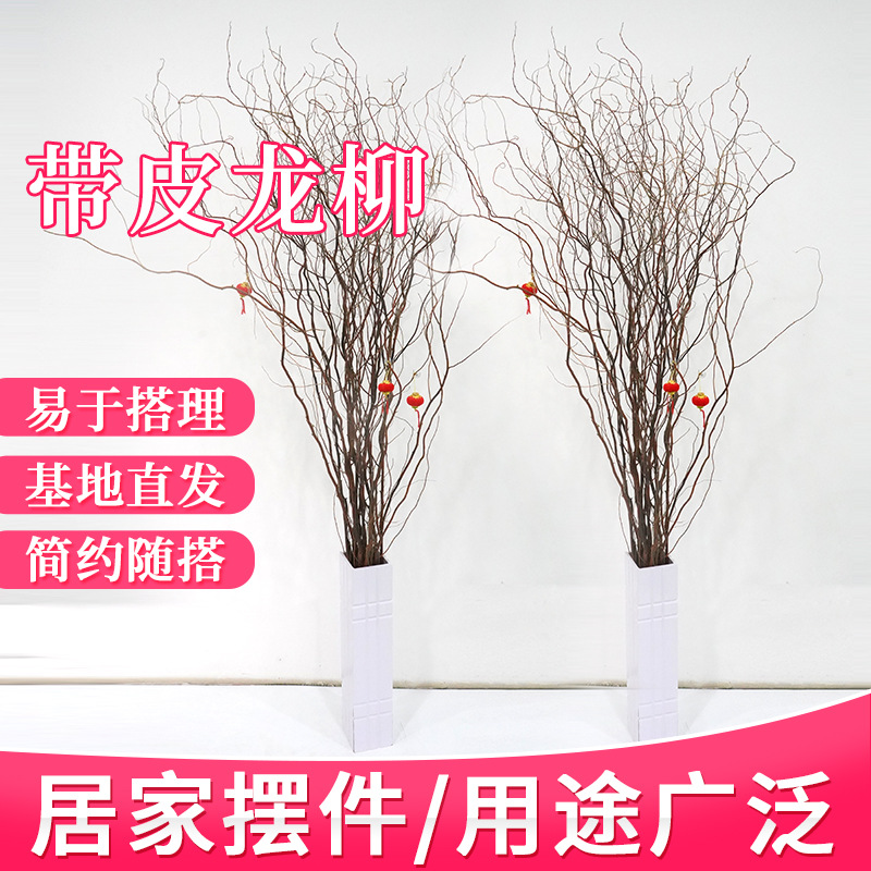 客厅摆件干枝干花带皮本色龙柳 落地摆放隔断婚庆带皮龙柳