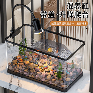 Wide court fish turtle mixed tank desktop fish tank living room dedicated tank small fish tank aquarium goldfish zebra peacock fish tank