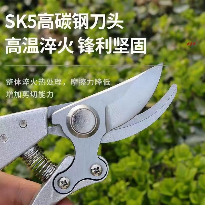 多功能修枝剪刀进口园林园艺剪刀家用多功能修剪果树花枝树枝的神