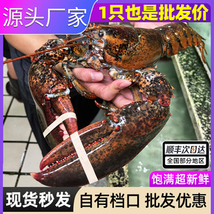 ��ʿ�D���r�����r����������r������r�����ش����r10�ﺣ�rˮ�a