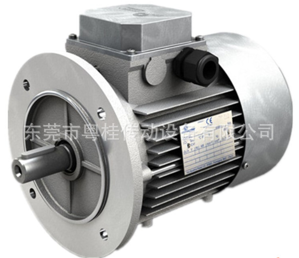 现货MOTOVARIO摩多利三相异步刹车电机T63C2 0.37KW B3/B5/B14