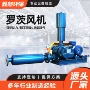 输送罗茨水产工业级风机