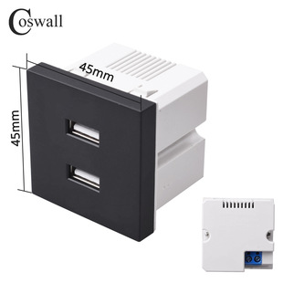 Type 45 Dual USB Socket Module Embedded 2Usb Charging Interface Pdu Chassis Socket 45*45 Function Key
