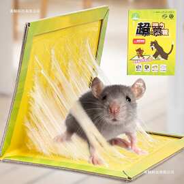 捕鼠粘鼠板  家用老鼠笼沾胶夹药抓捉大老鼠贴驱粘合力强量大优惠