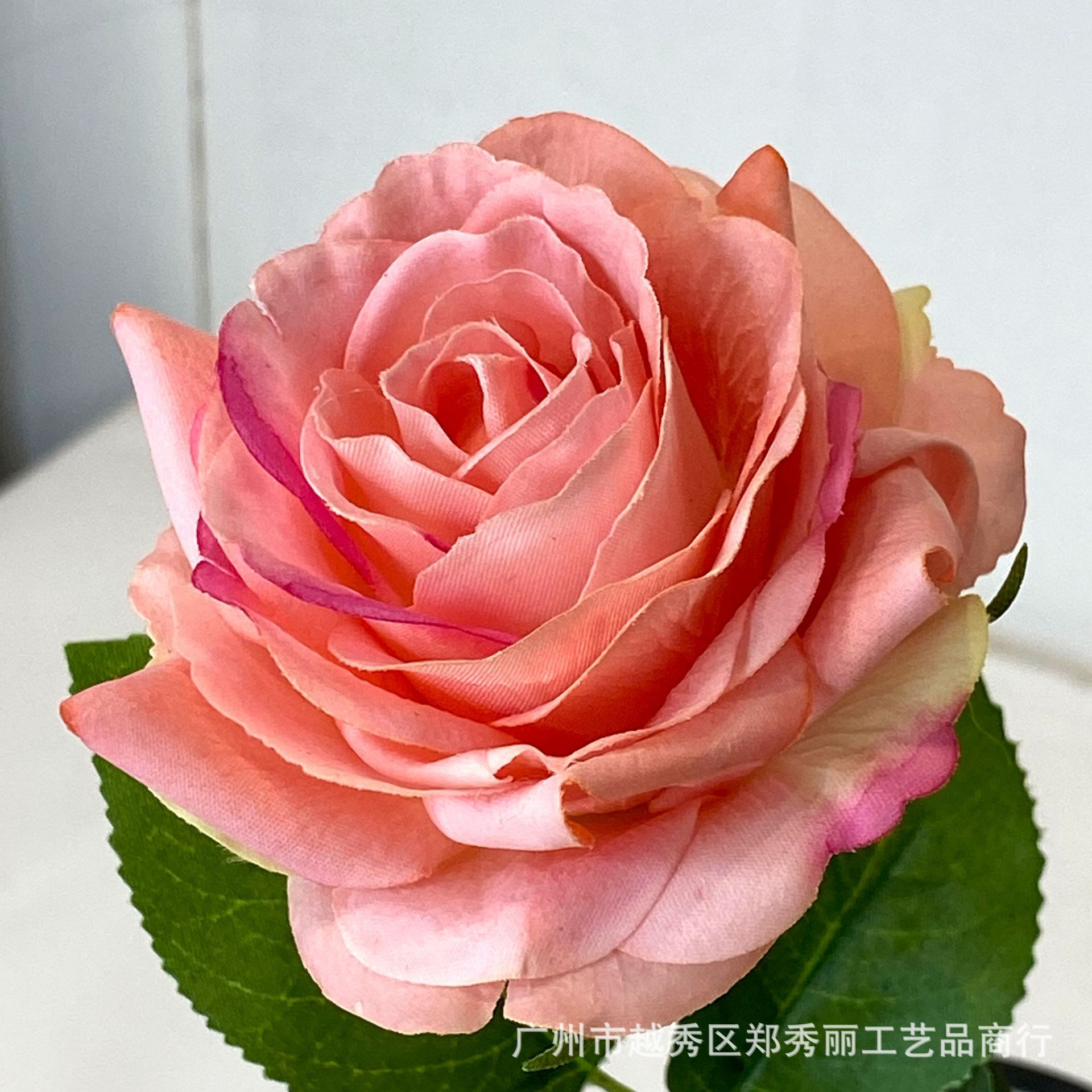 딥 파우더