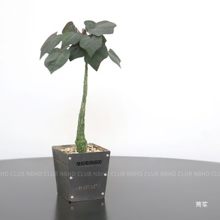 �K��ֲ�ﲻ�P���Ҿӽ��|͸��͸ˮ����ȫ�����쾰������҃�