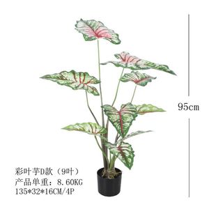 ����ֲ�����Բ��~�󱱚WINS�͏d�bGֲ����ֲ������ϲ�����辰