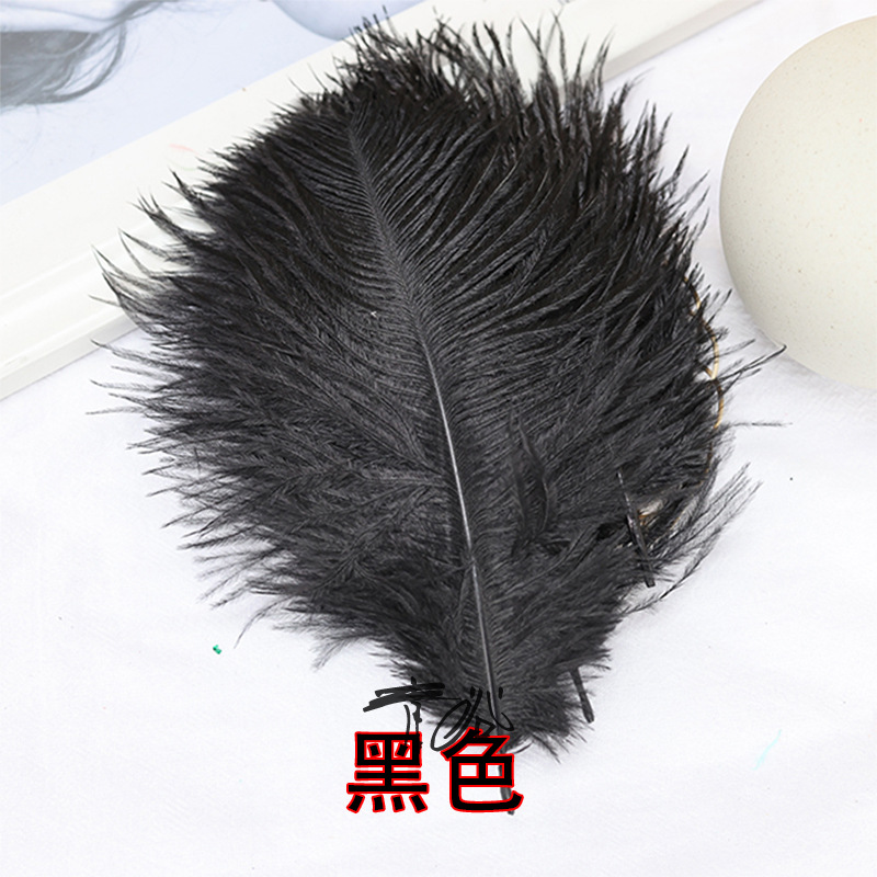 Plumas negras al por mayor DIY accesorios de decoración de ropa accesorios escenas de diseño de fábrica de plumas tienda directa