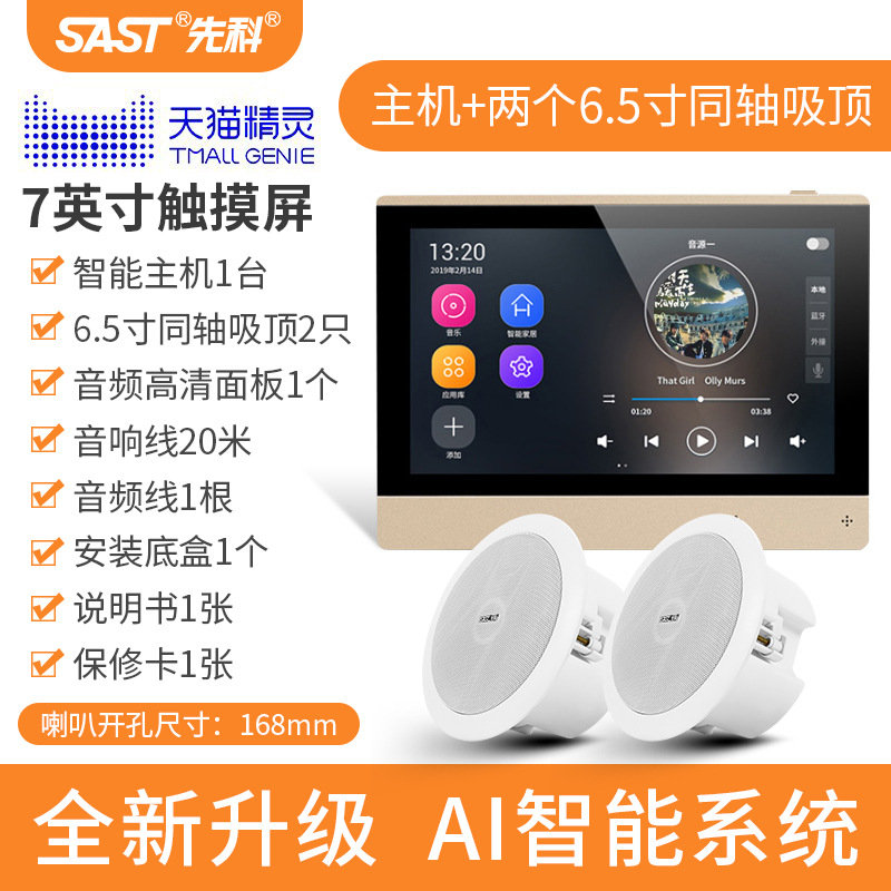[내장 Tmall Elf] 호스트 + 서브우퍼 동축 천장 스피커 2개