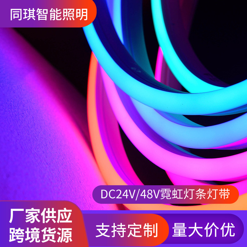 24V/48V霓虹灯条户外广告招牌防水软灯带亮化工程低压柔性LED灯带