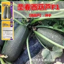 �}�������JF1�N�����������ϷN�Ӵ����ļ�ͥԺ�r���߲˷N�Ӵ�ȫ