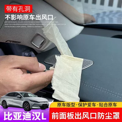 Various types of BYD Han: Aktiv kömürlü qoxu uducular