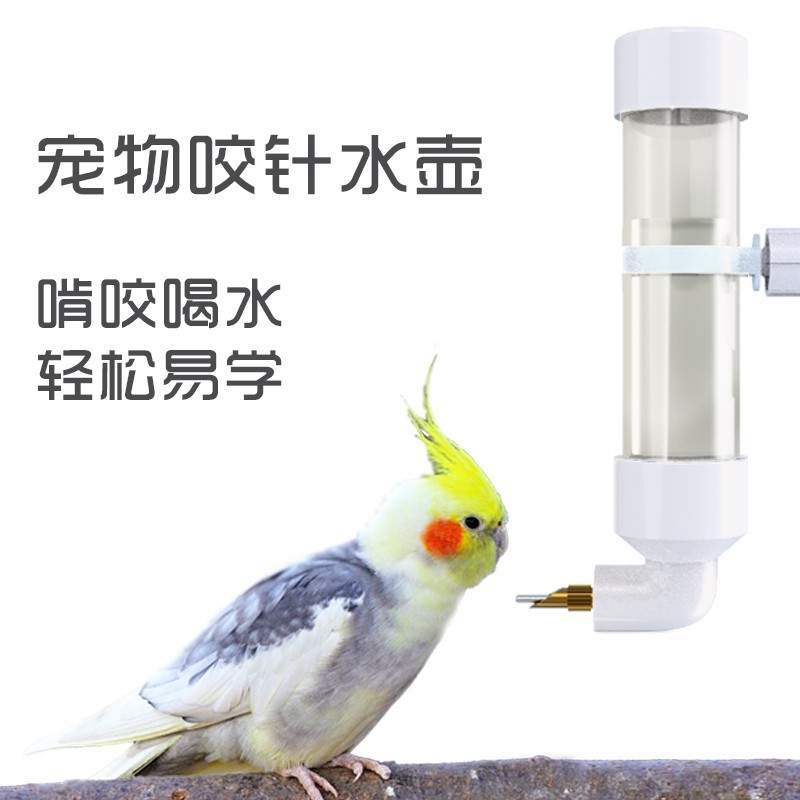 批发  鸟用饮水器鸟喝水大中小型鹦鹉撞针水壶龙猫饮水自动喂水器