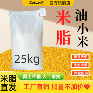 ꄱ���֬�SС��25������С�׏S�����l