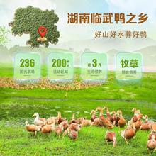 ������������ʳ�����خa˴�A�R�����⼴ʳС��ʳƷС���b�u����