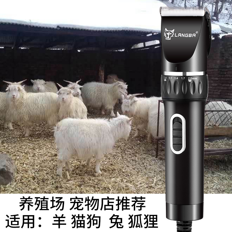 狼霸跨境絨山羊綿羊剃毛器大功率毛長兔貓狗狗電推子 寵物電推剪