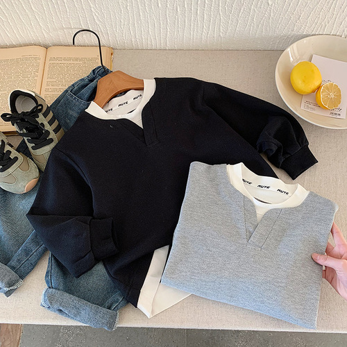 Children's Hoodie 2025 Autumn New Boys' Fashion Two-Piece Hooded Sweatshirt Baby Casual Matchable Top