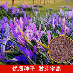 �R�m���N���R�A�ļ��N���Ѷ������޸����ݷN�ӵر��������^����