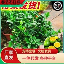 һ�����lС��������С��ۘ亣��С��ۙ��ʘ������̨ˮ�������