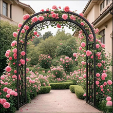 新款拱门花架爬藤架户外花园庭院装饰铁艺葡萄蔷薇月季拱形花支架