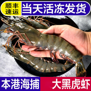 �ڻ��rԽ�ϴ��r̩�����r���rˮ�a�߹��r�����r�ϻ��r���r�Ź��r