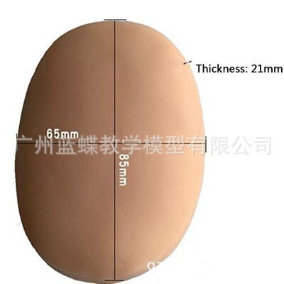 针灸练习模拟器 练习中医针灸模具 模拟皮肤模型 医学训练工具