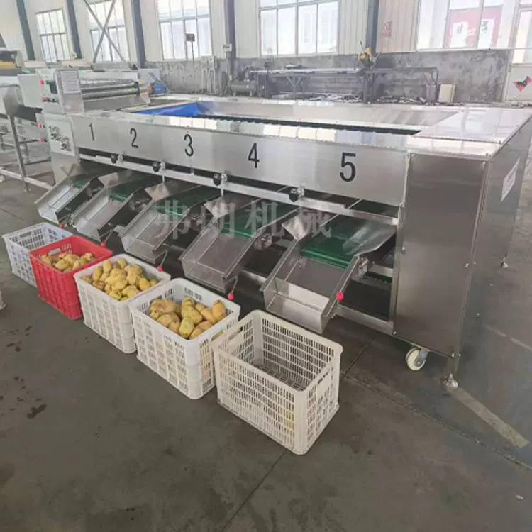 果蔬分级机 橙子大小筛选设备 荔枝小柿子分选机 蜜薯分级机