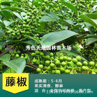 ��������t���齷�ٽ�����Y�����Դ���С�绨������o�̻�����
