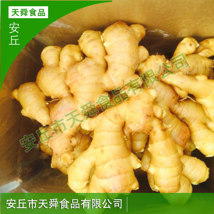 风干姜饭店餐馆用山东风干姜批发家庭餐厅火锅调味食材餐饮用大姜