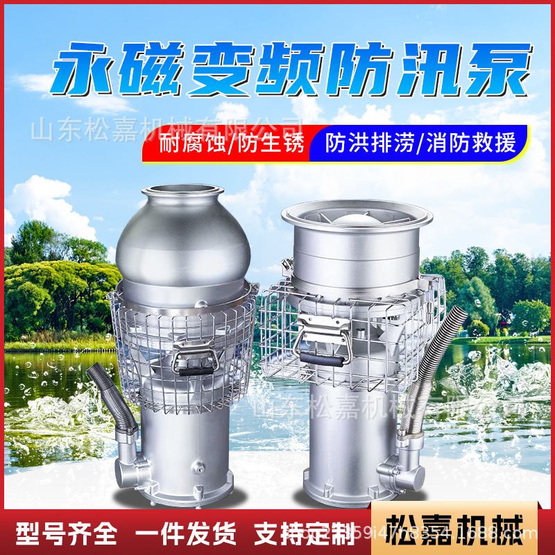 Bomba sumergida de frecuencia variable de imán permanente bomba de inmersión de aceite de gran caudal riego de tierras agrícolas rescate de emergencia bomba de bombeo de agua pequeña