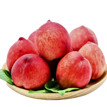 河北春雪水蜜桃产地直发桃子顺丰包邮新鲜水果春雪蜜桃一件代发