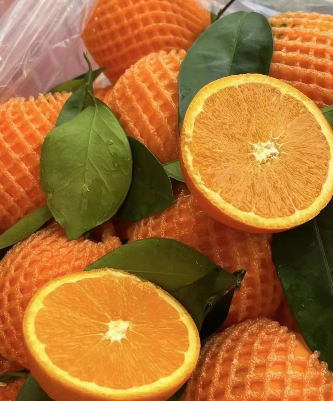 微信图片_20240320170858