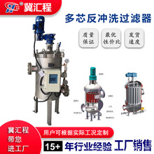 汇程 全自动多芯反冲洗过滤器 多柱式多滤元反冲洗除污器滤水器